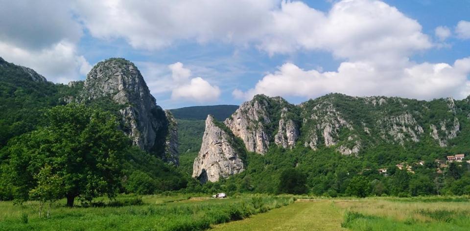 Odmaraliste Vlasko Zdrelo بايرت المظهر الخارجي الصورة