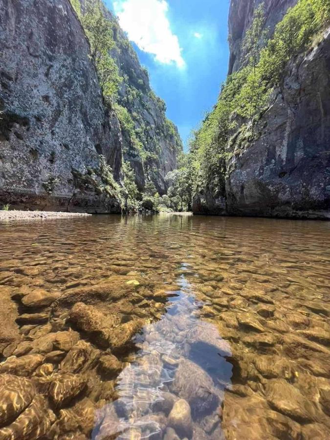 Odmaraliste Vlasko Zdrelo بايرت المظهر الخارجي الصورة