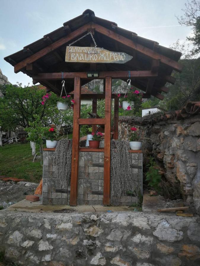 Odmaraliste Vlasko Zdrelo بايرت المظهر الخارجي الصورة